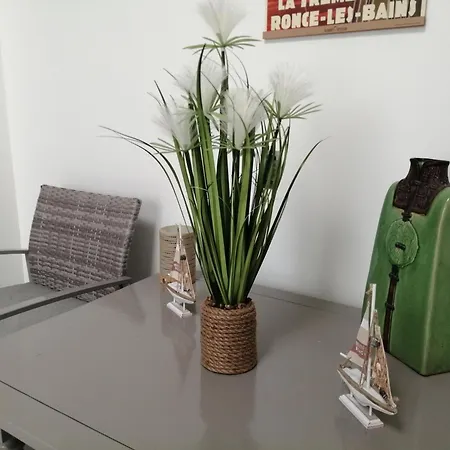 La Cote Sauvage Bed & Breakfast